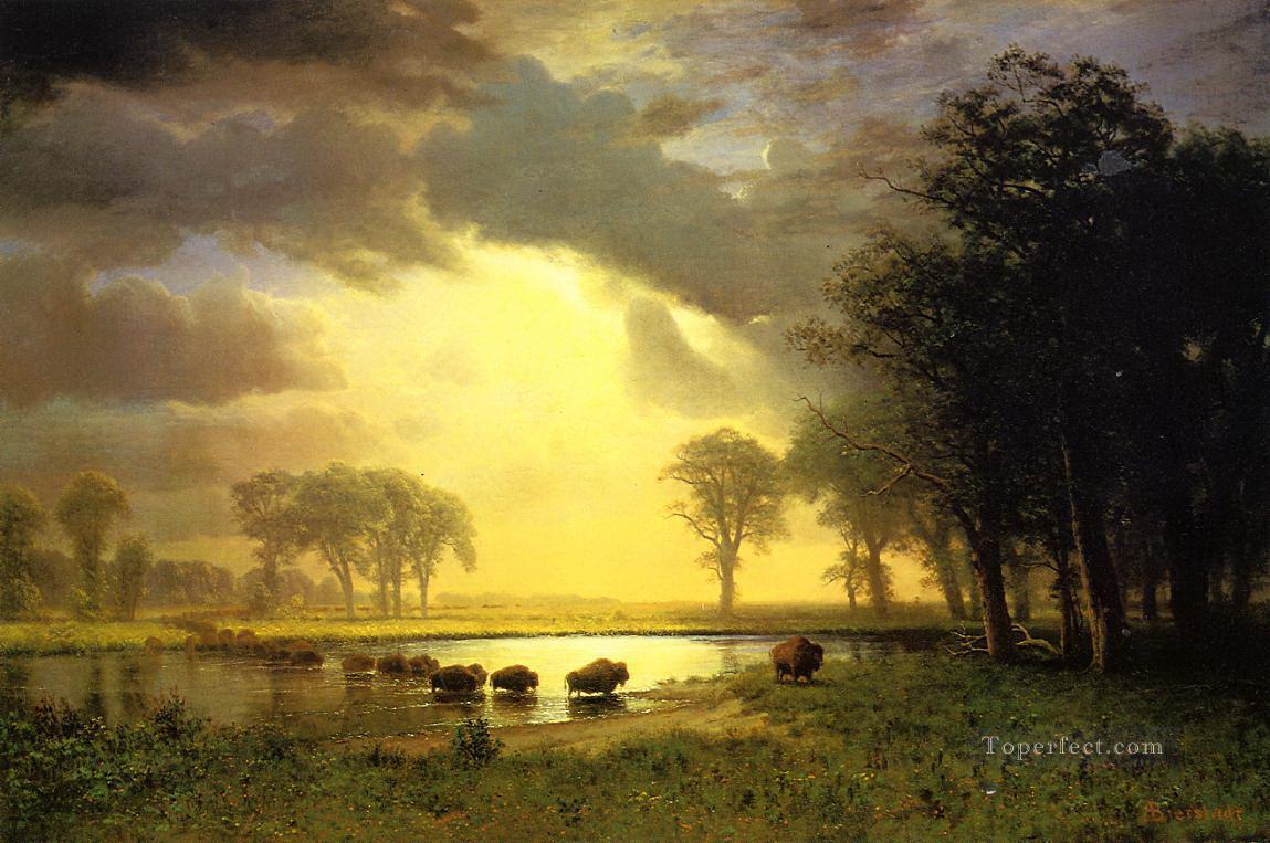 Bierstadt Albert Les taureaux du Buffalo Trail Peintures à l'huile